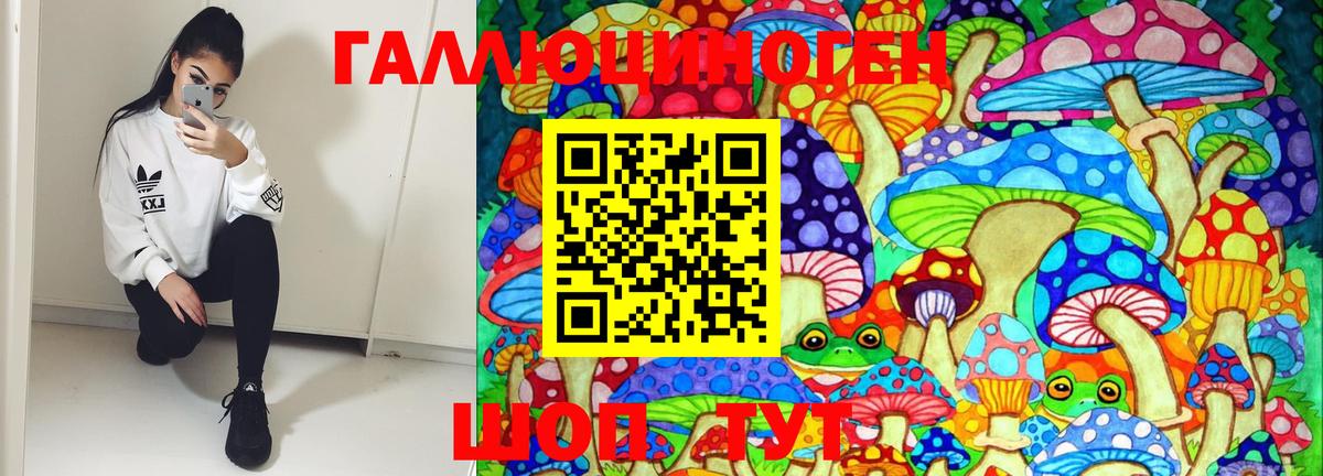 Красный Сулин  Галлюциногенные грибы Psilocybe  Вход с VPN 